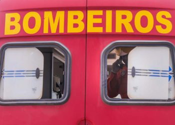 Bombeiros usam drone e cães farejadores em busca de idoso desaparecido