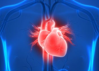 Cardiologista explica como reduzir o risco de arritmias na menopausa