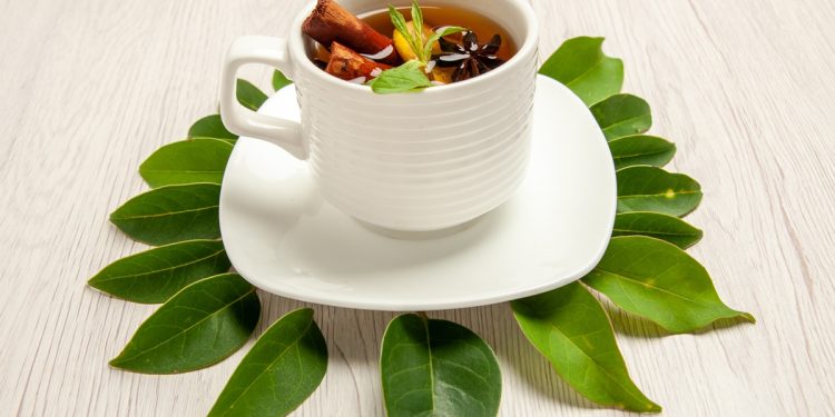 Nutricionistas listam benefícios do chá de folha de abacate na saúde