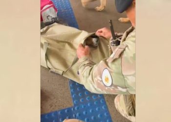 Passageiro é flagrado com cachorro preso em mala dentro de bagageiro de ônibus. Veja vídeo