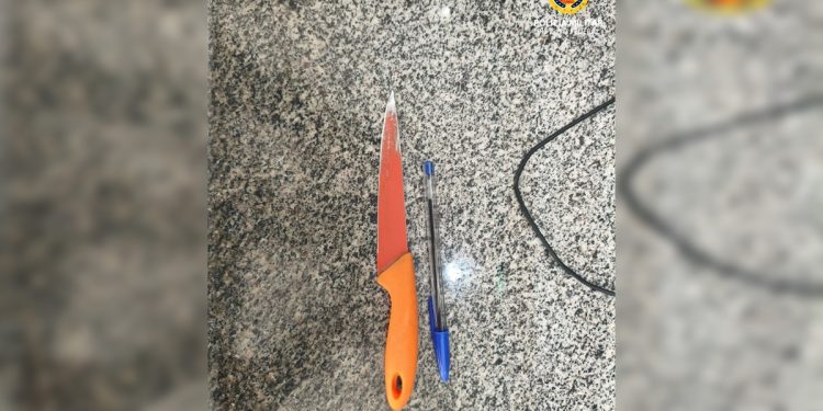 Briga por cachorro termina em facada e prisão no Setor Comercial Sul