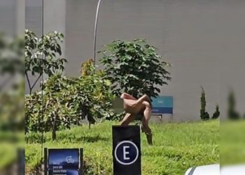 “Peladão” de Águas Claras é preso com faca em praça pública. Veja vídeo