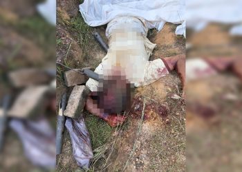 Homem mata irmão com diversas pauladas na cabeça por disputa de terras