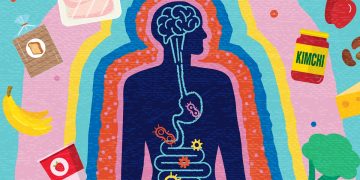 Gastro explica como o eixo intestino-cérebro afeta a saúde dos órgãos