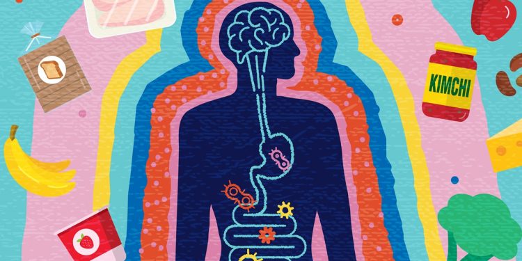 Gastro explica como o eixo intestino-cérebro afeta a saúde dos órgãos