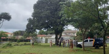 Moradores impedem derrubada de bosque para criação de quadras de tênis na Asa Norte