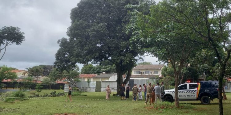Moradores impedem derrubada de bosque para criação de quadras de tênis na Asa Norte