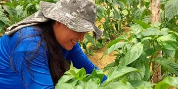 Projeto oferece 100 vagas de capacitação às mulheres do campo