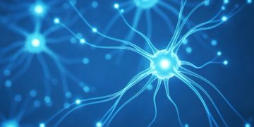 Estudo da USP indica genes que podem prever complicações da hepatite