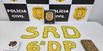 PCDF apreende mais de R$ 120 mil em comprimidos de ecstasy no DF