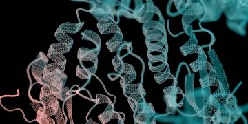 Proteína do corpo reduz mortes por sepse em até 70%, sugere estudo