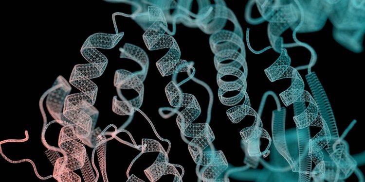 Proteína do corpo reduz mortes por sepse em até 70%, sugere estudo