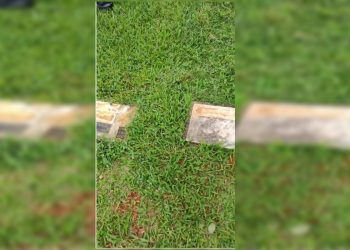 Placas de túmulos são furtadas em cemitério do DF e polícia investiga. Veja vídeo