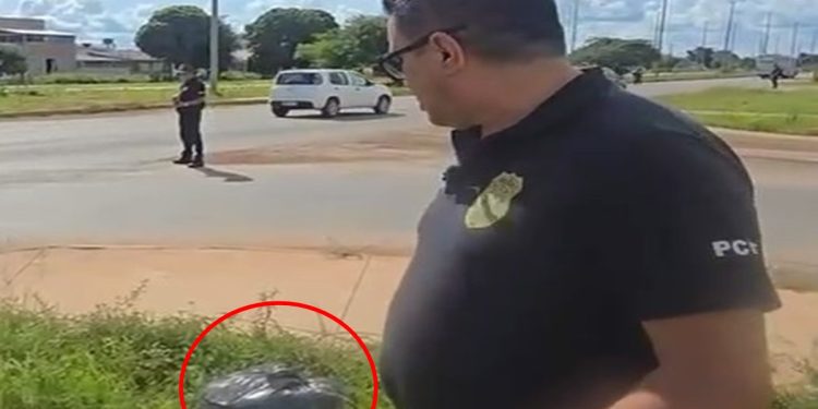 30 kg de maconha no lixo: polícia prende suspeito de ser dono da droga. Veja vídeo
