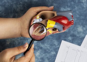 Órgão pouco conhecido pode influenciar resposta do corpo contra câncer