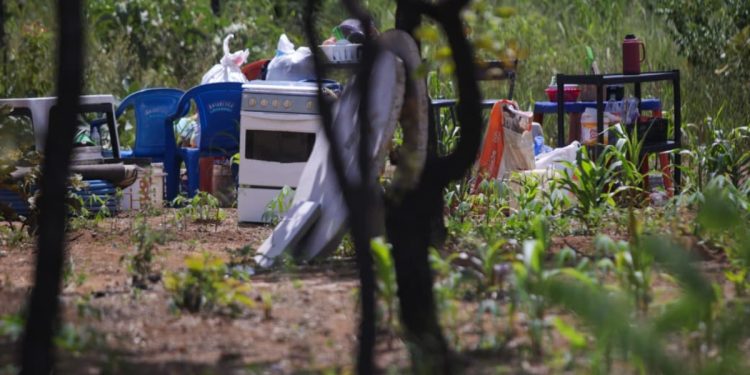 Invasão na Serrinha do Paranoá: ICMBio vê indícios de trabalho escravo. Veja vídeo