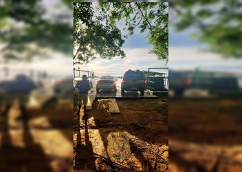 Condenado por estupro no DF é preso na Bahia após operação policial