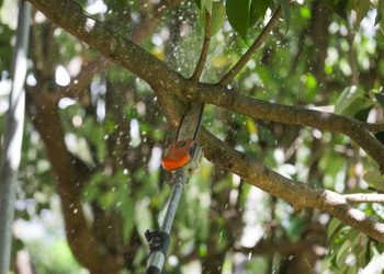 Endereços de Planaltina ficam 6 horas sem energia nesta terça (28/4)