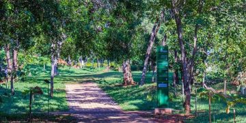 Parque Olhos d’água reduz horário de funcionamento devido à falta de luz
