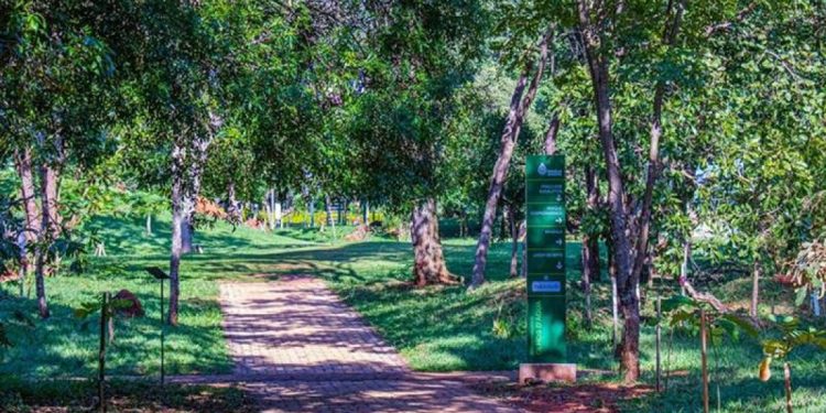 Parque Olhos d’água reduz horário de funcionamento devido à falta de luz