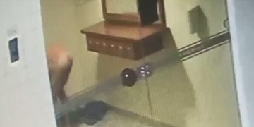 Ladrão invade imóvel na Asa Sul, fica pelado e foge após moradora gritar