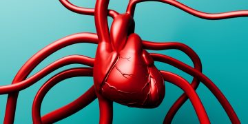 Cardiologistas orientam cuidados com o coração em cada fase da vida