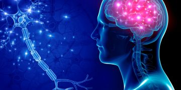 Cientistas observam dano do Alzheimer em tempo real pela primeira vez