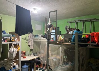 BYD entra e sai da lista suja do trabalho escravo em menos de três dias