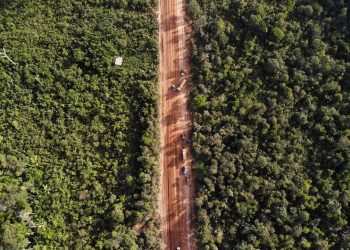 Asfaltamento da BR-319, o primeiro atropelo da ‘lei da devastação’