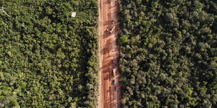 Asfaltamento da BR-319, o primeiro atropelo da ‘lei da devastação’