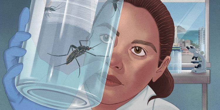 Enquanto casos aumentam no mundo, América do Sul avança no combate à dengue