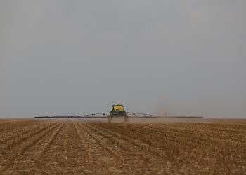 Inflação de alimentos: entenda por que comer no Brasil ficou tão caro