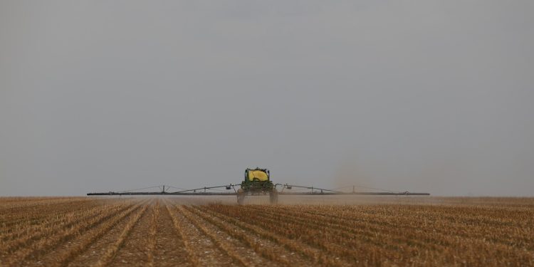 Inflação de alimentos: entenda por que comer no Brasil ficou tão caro