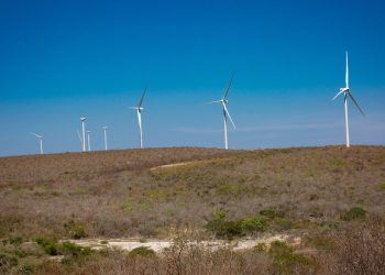 Mário Araripe: a fortuna do senhor dos ventos vem dos territórios do semiárido