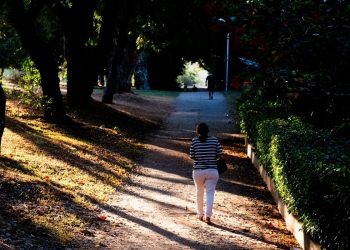 Sensação de frio marca manhã no DF e sinaliza início da estiagem