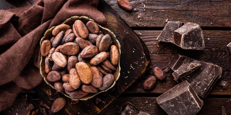 Apesar dos benefícios, consumo de chocolate amargo também pede cautela