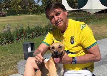 PMs são mordidos por cão caramelo de Bolsonaro durante guarda de prisão domiciliar