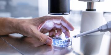 Cientistas criam método para observar células vivas e estudar o câncer