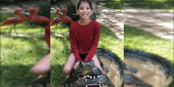 Médico é indiciado após menino receber alta e morrer de apendicite