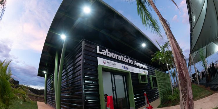 Laboratório pioneiro impulsiona produção do vinho no Centro-Oeste. Veja vídeo