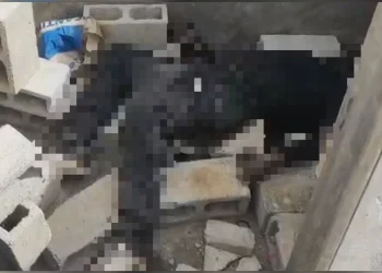 Corpo em decomposição é encontrado por moradores em obra no DF