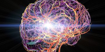 Cinco dicas para ajudar sua memória a trabalhar melhor