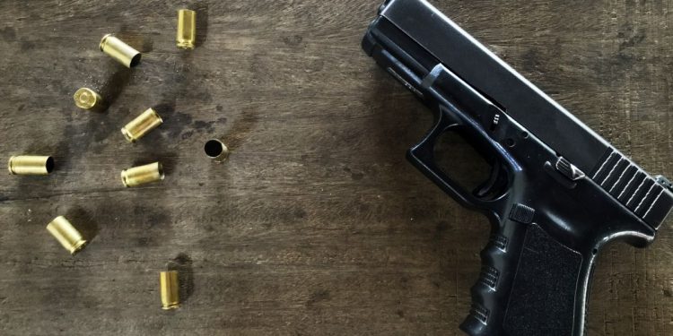 Bombeiro mata cachorro após ataque em estacionamento em GO