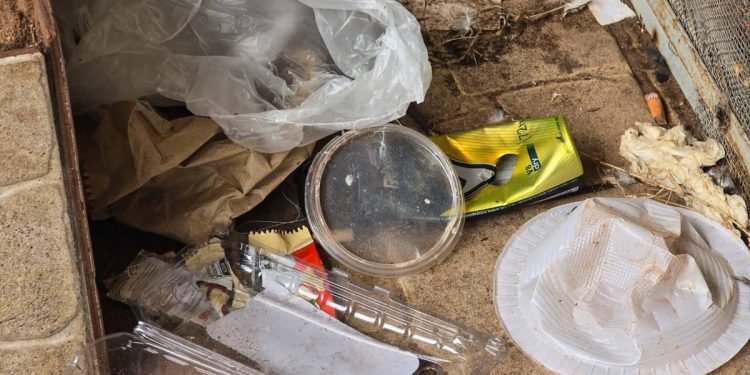 “Beco do crack” cresce a 1,5 km de delegacia e escolas na Asa Norte