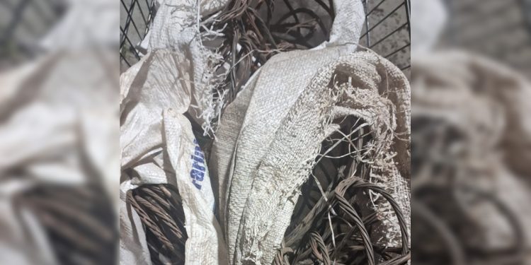 Polícia estoura ponto de crack e recolhe 10 kg de cabos na Asa Norte