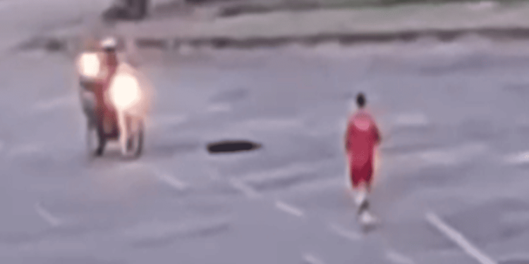 Bombeiro de Goiás é investigado por matar cachorro a tiros