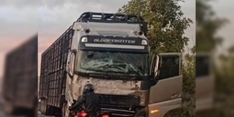 Motorista de caminhão sai ileso de acidente que matou 8 pessoas na BR-020. Veja vídeo