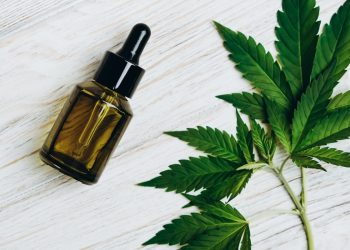 Canabidiol pode reduzir danos cerebrais do Alzheimer, sugere estudo