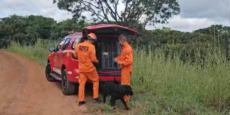 Buscas pelo corpo de italiano mobilizam helicópteros e cão farejador. Veja vídeo