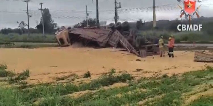 Margem de rodovia no DF vira “mar de soja” após carreta tombar. Veja vídeo